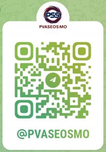 pvaseosmo.com